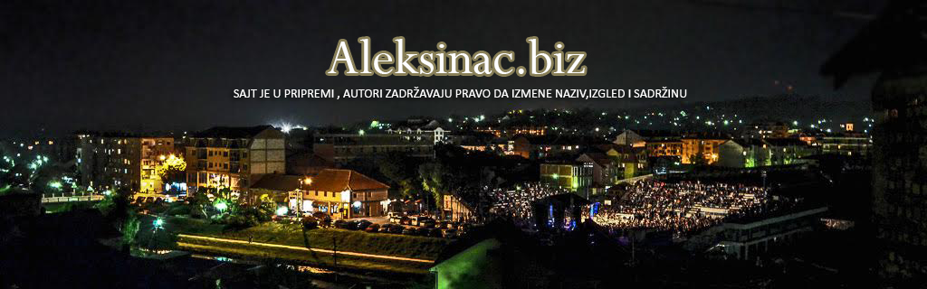 Aleksinac biz Logo