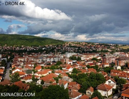 DEČAK IZ ALEKSINCA DELIO PORODIČNU UŠTEĐEVINU DRUGARIMA ZA DŽEPARAC